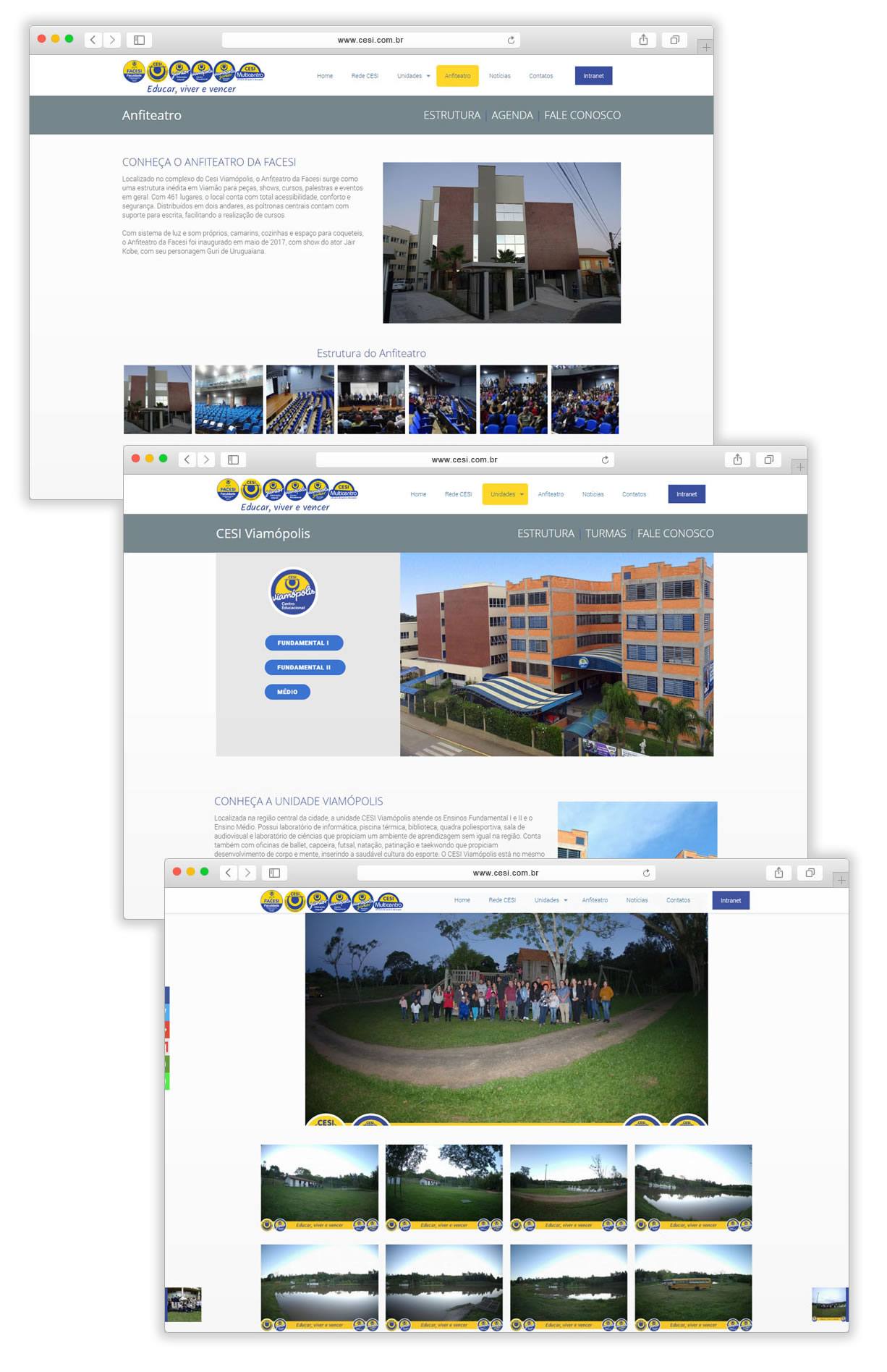 criação de site